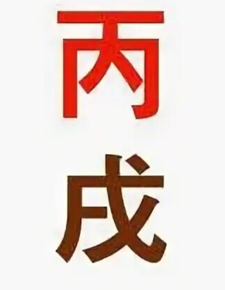 Огонь ян на собаке.