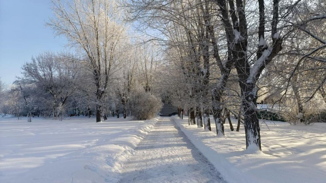 Фото: Инна Пахомова, ИА "Тюменская линия"