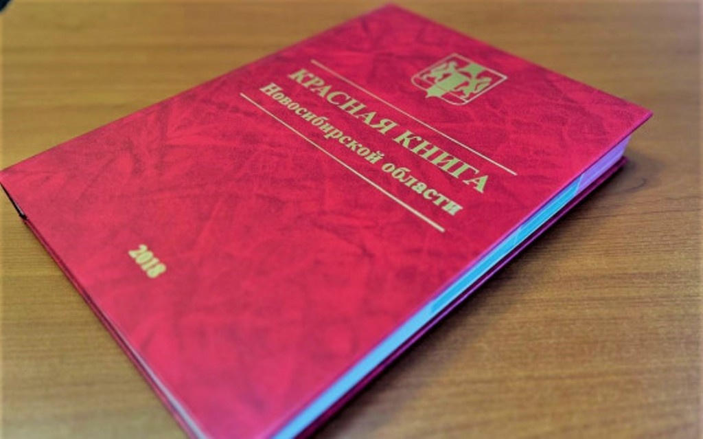    Фото: сайт министерства природных ресурсов и экологии НСО