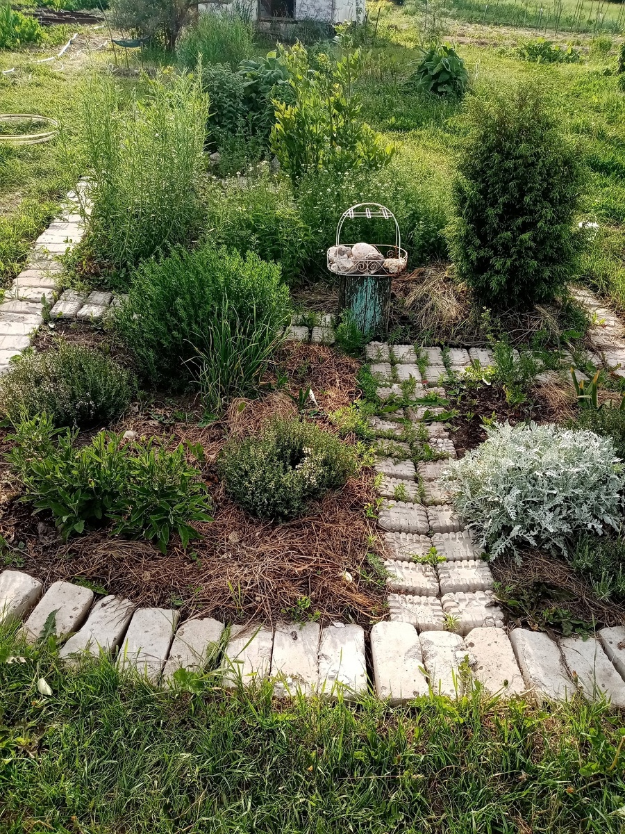 В основном пряные травки.