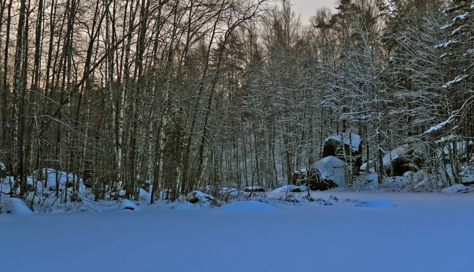 Новогодние праздники на Карельском перешейке. 1