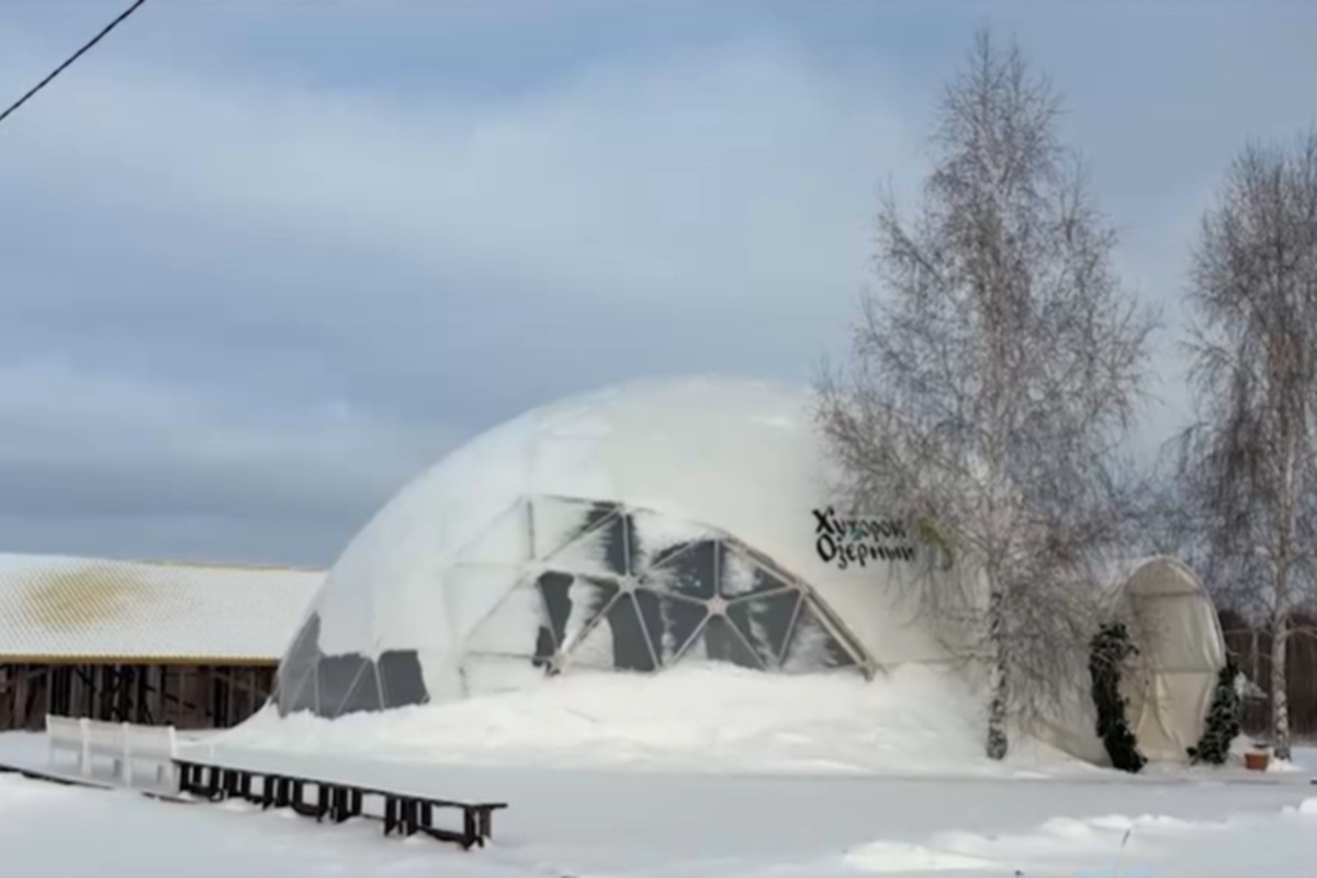    Фото: скриншот видео, источник ren.tv