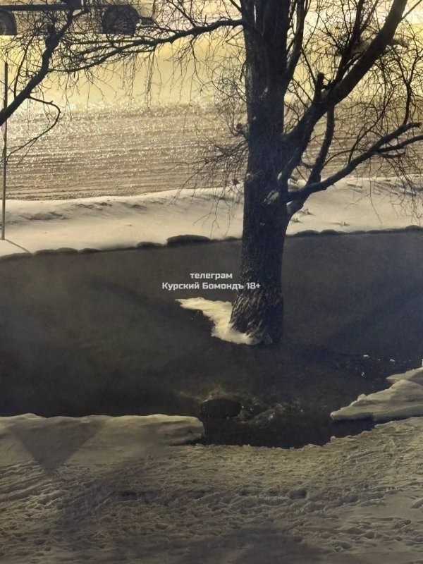     © фото - ВК Курский Бомондъ