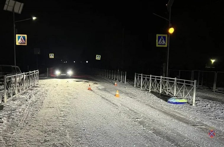 фото: ГУ МВД по Волгоградской области