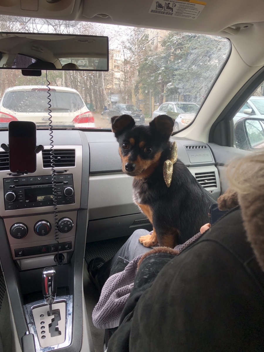 "Ваши руки пахнут апельсином.
На экране — дальние края.
И в пути, волнующем и длинном,
Всюду вместе, всюду вы и я." В.Инбер