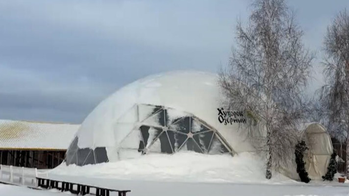    Фото: Скриншот / РЕН ТВ