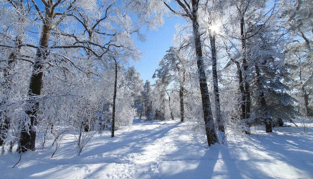 Роскошный день для начала рабочей недели - роскошного старта года.