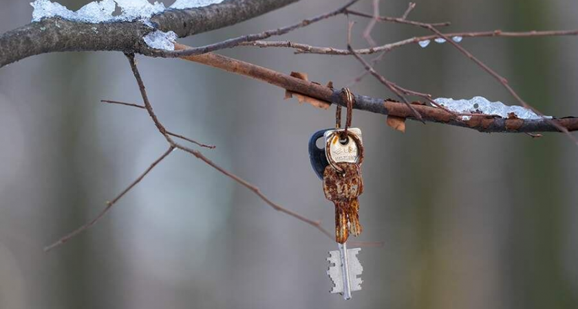    Фото: ИЗВЕСТИЯ/Эдуард Корниенко