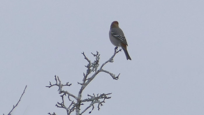    Фото: vk.com/public217209964