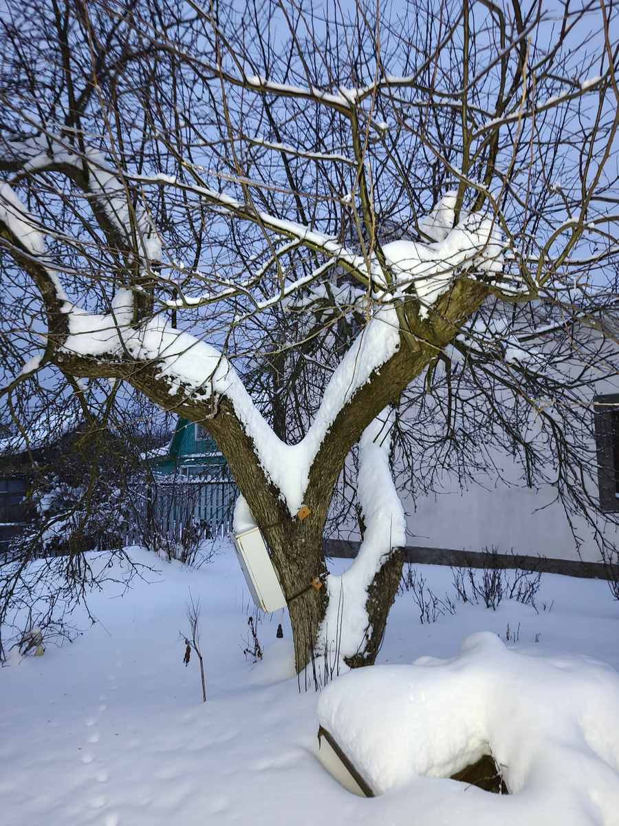 Фото автора. Снега на даче полно