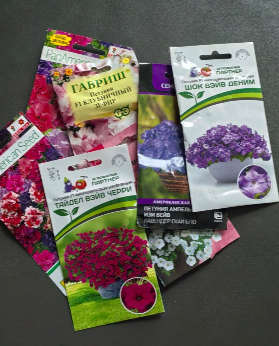 Петунии для выращивания в 2026 году