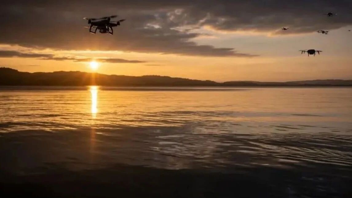    Фото: dosmass/Shutterstock/Fotodom