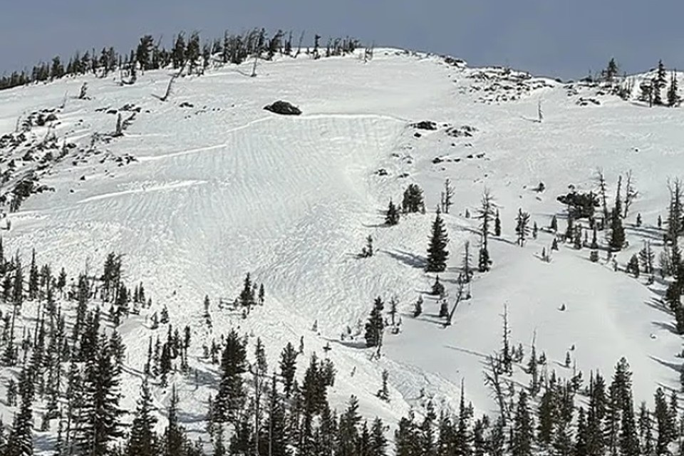    Инцидент случился днем в пятницу недалеко от перевала Лонгс-Пасс