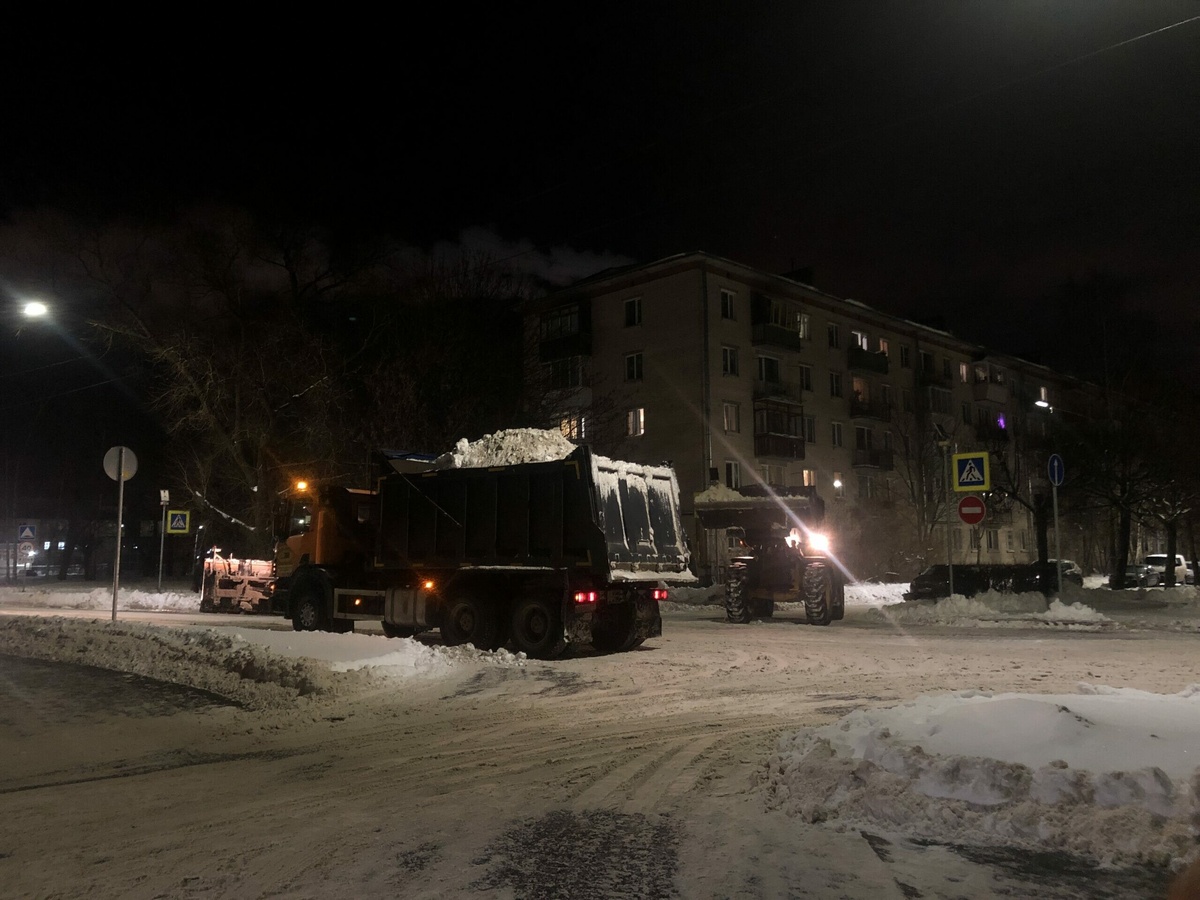 Фото: Neva.Today/Анастасия Смирнова