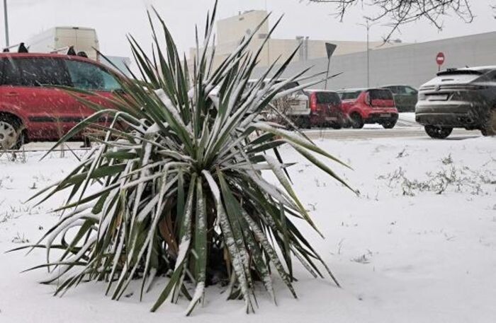 Иллюстрация: © «Панорама»