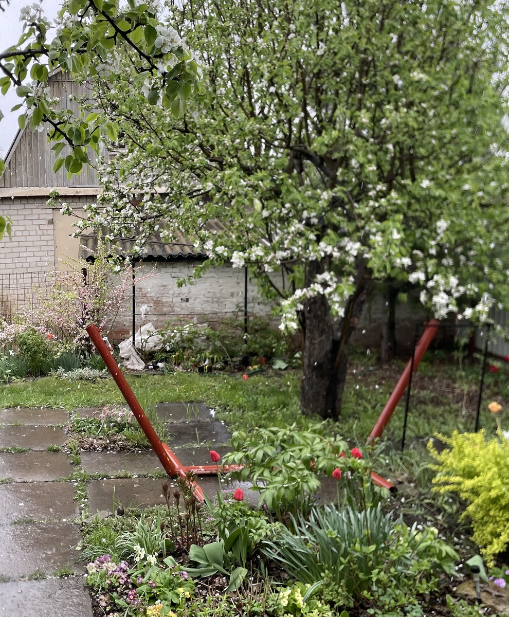 Осеннее фото не нашла, пусть будет весеннее. Смысл один 