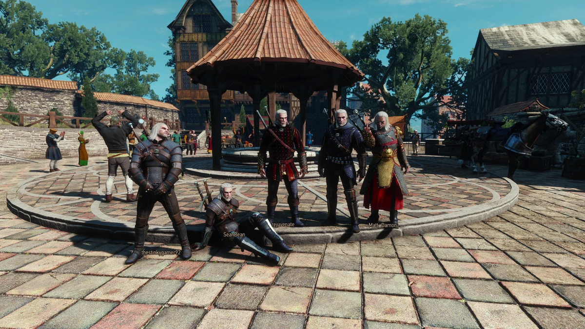    Witcher Online