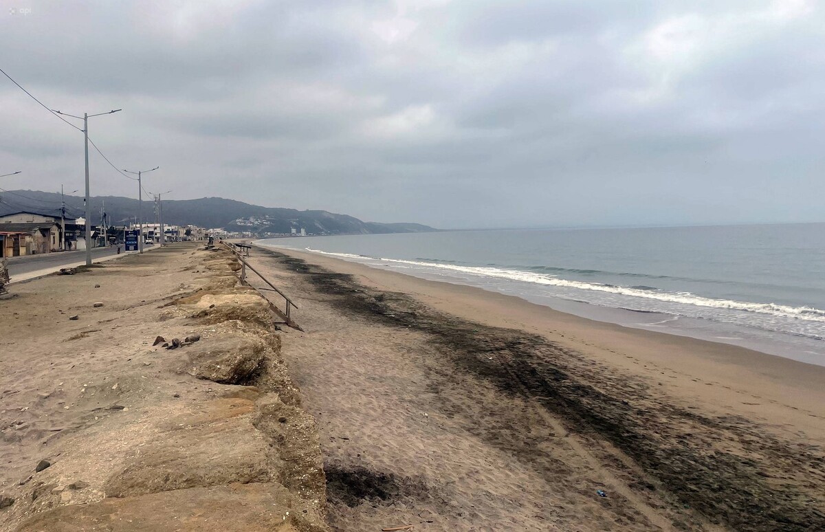     / Источник: © IMAGO/Eduardo Saldarriaga/Global Look Press