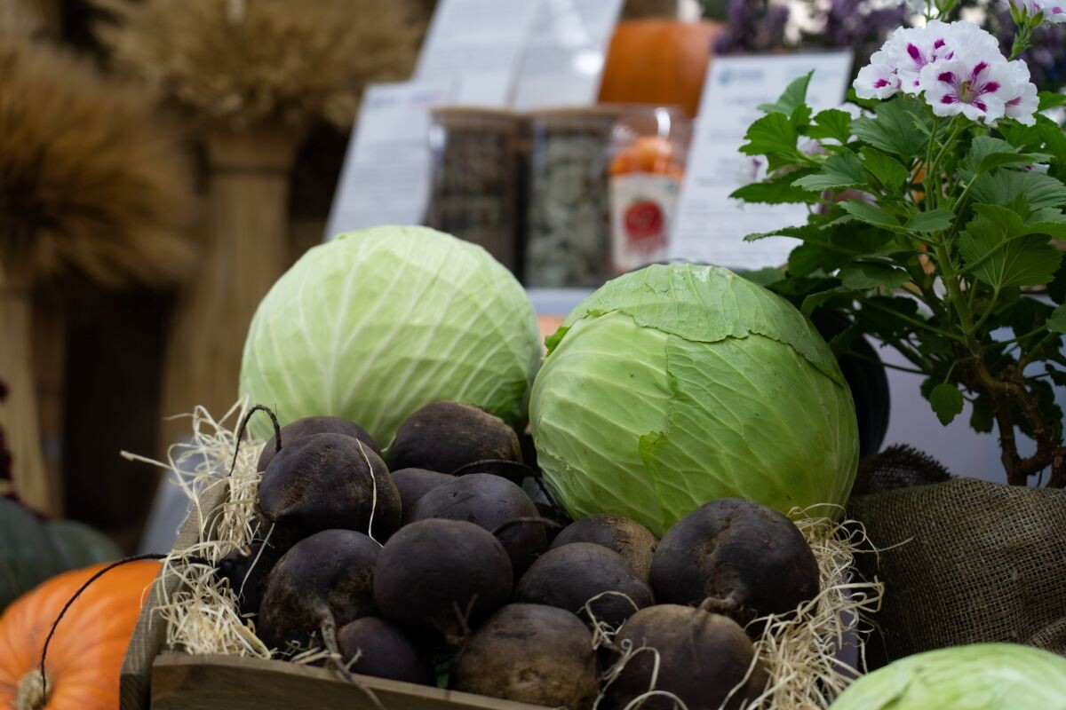 Фото: Александр Плонский / «Агроэксперт»