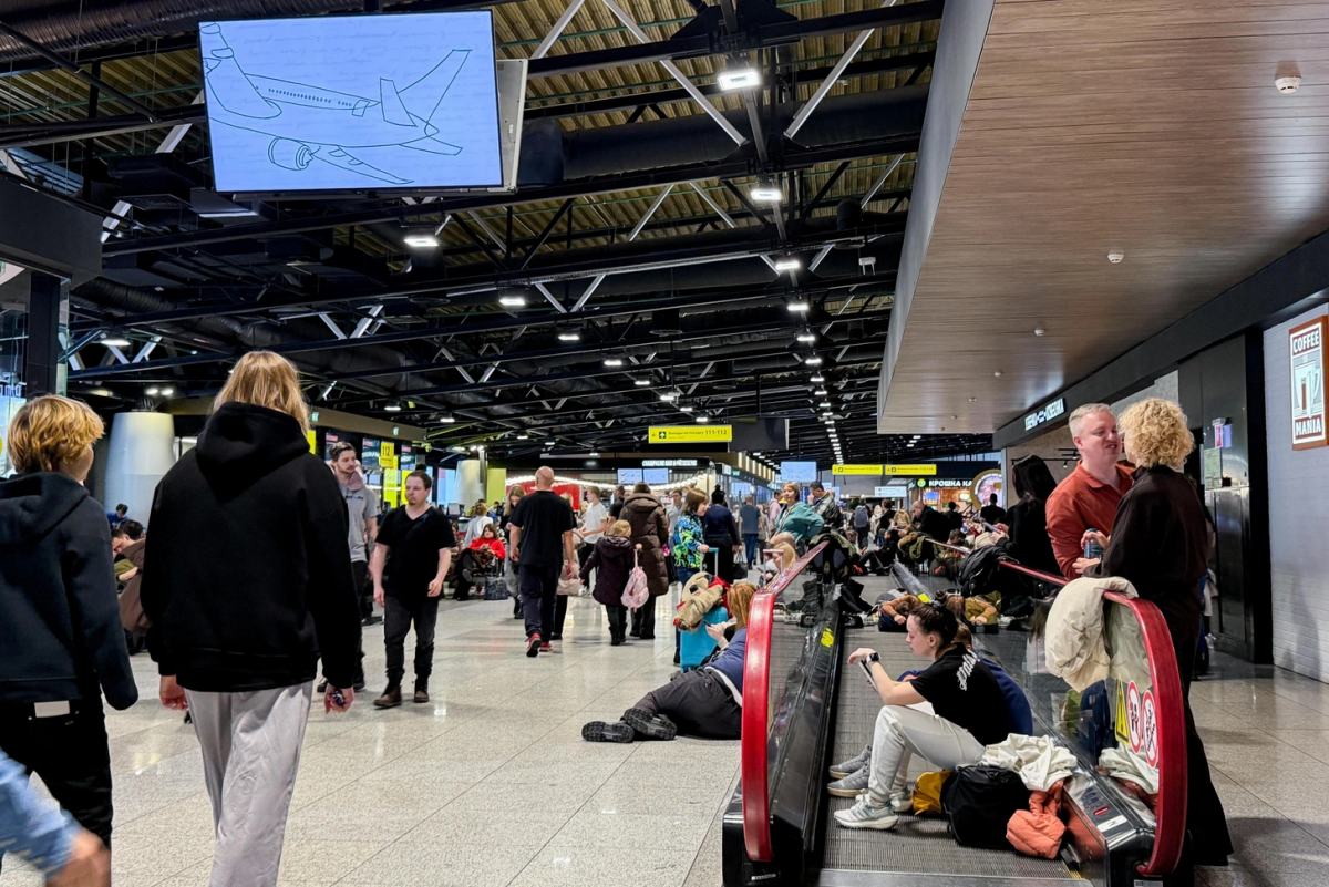 Обстановка в аэропорту Шереметьево 10 января 2026 года. Фото: соцсети