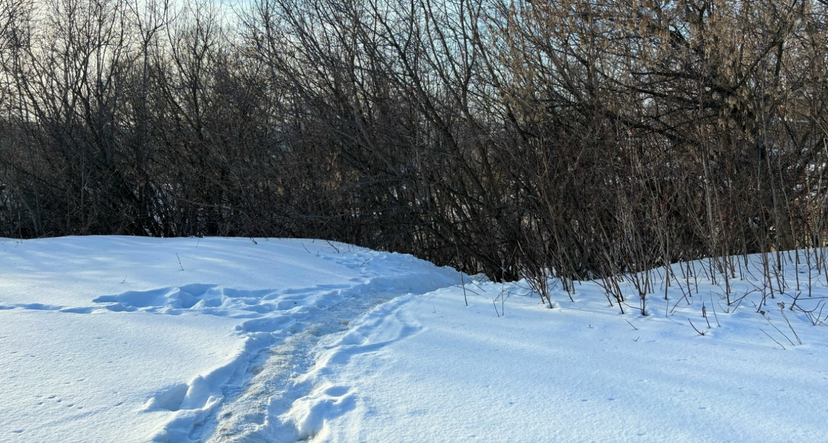    фото Минлесхоза Нижегородской области