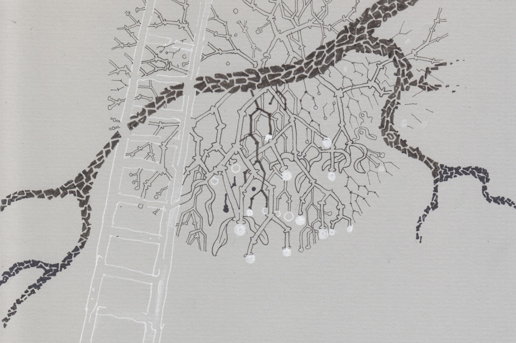 Иллюстрация Петра Перевезенцева