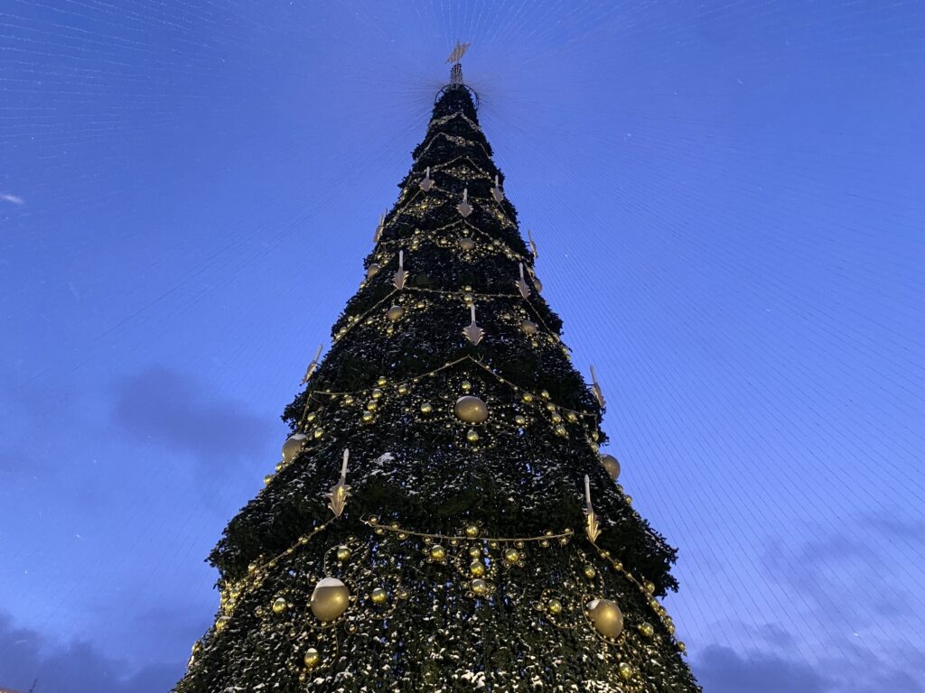    Фото: В курсе.ру Ульяна Бажанова