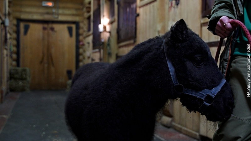 Фото: Данил Кузнецов