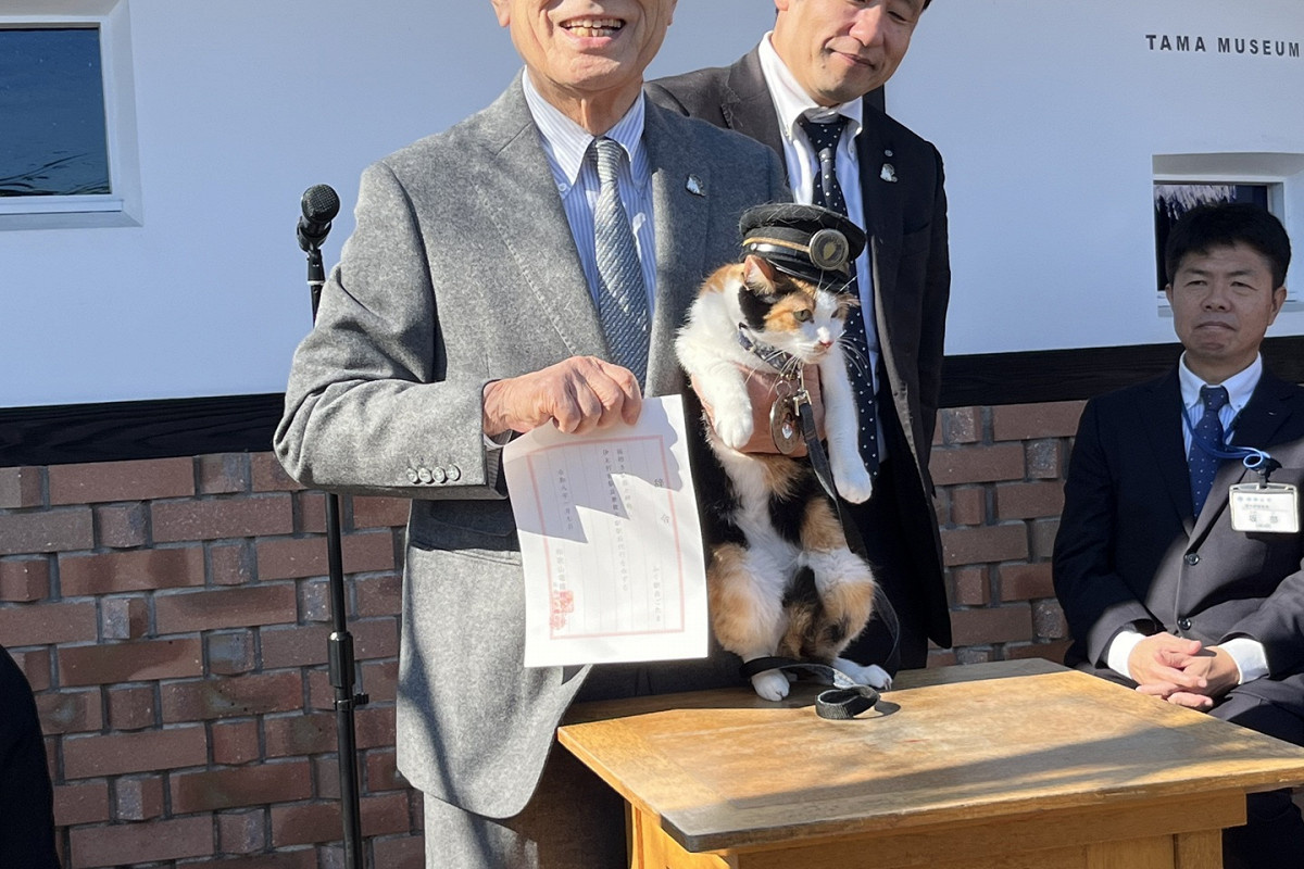 Фото: Wakayama Electric Railway