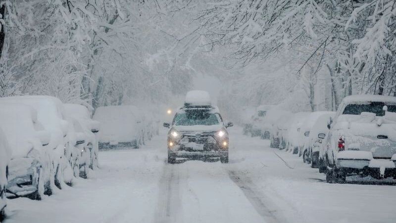    Фото: christianthiel.net/Shutterstock/Fotodom