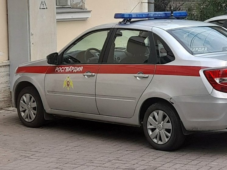     Фото: архив МК в Питере.