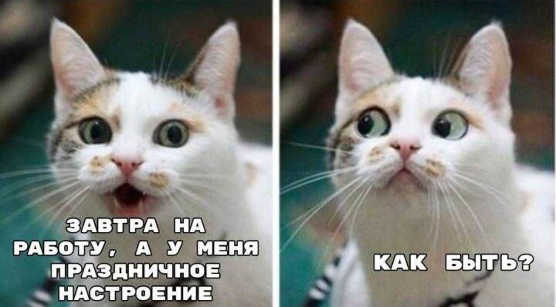 Уже сегодня