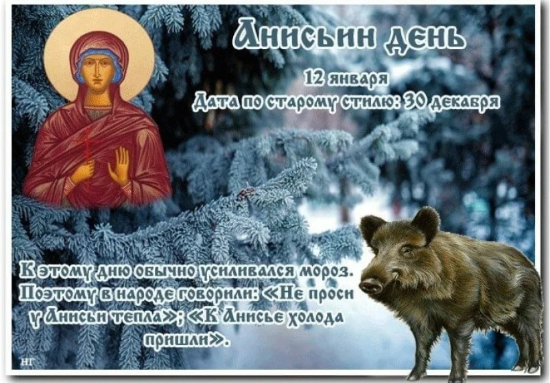 Фото открытых источников