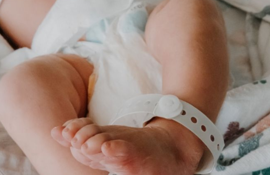 Фото носит иллюстративный характер: открытые источники