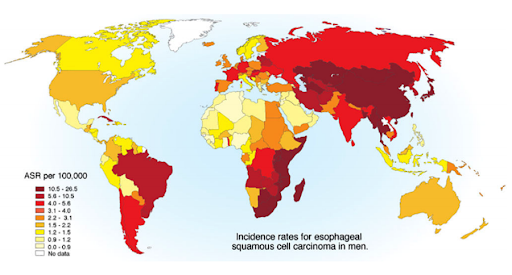 Карта по раку пищевода 