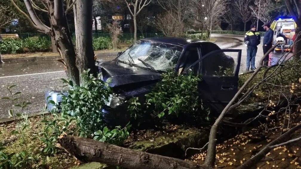    Фото: пресс-служба полиции Сочи