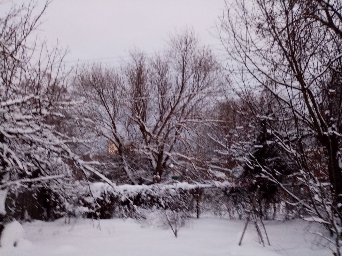 Фото автора. Пенза. Январь 2026. 