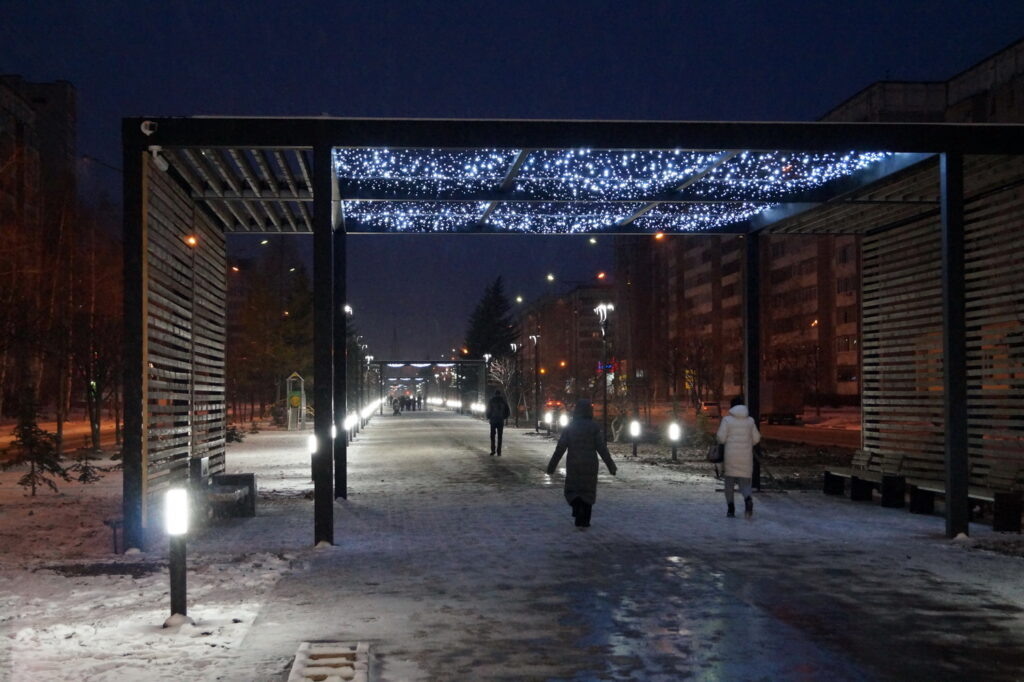    Анастасия Петрова