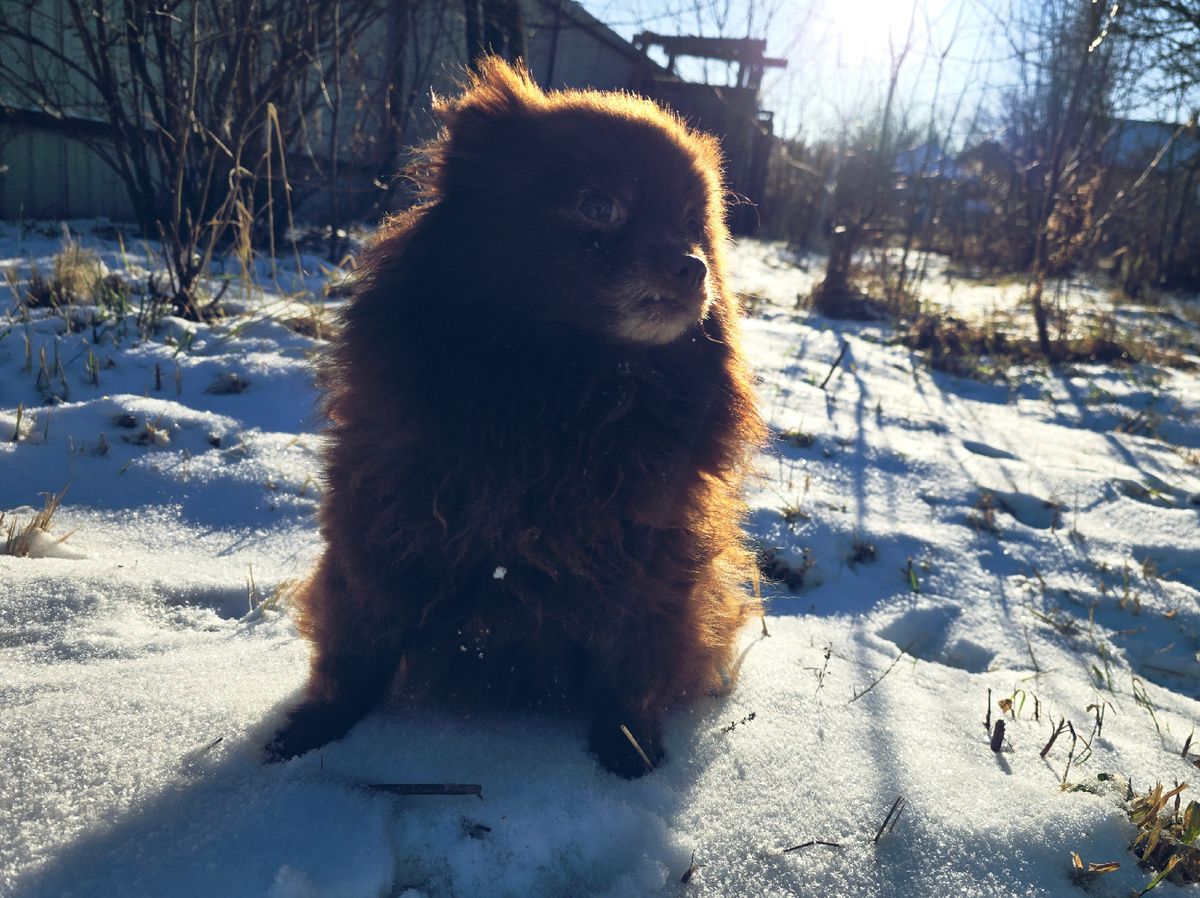 Если Арга в комнате — вы это точно почувствуете!