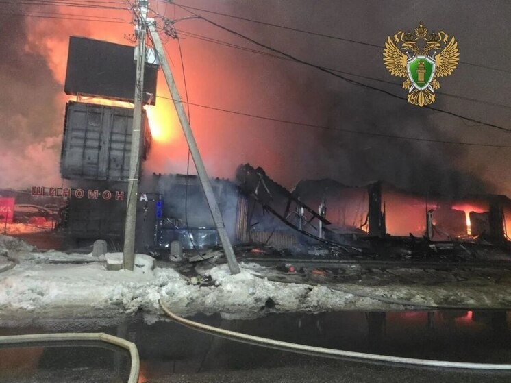     Фото: телеграм-канал прокуратуры Ленобласти.