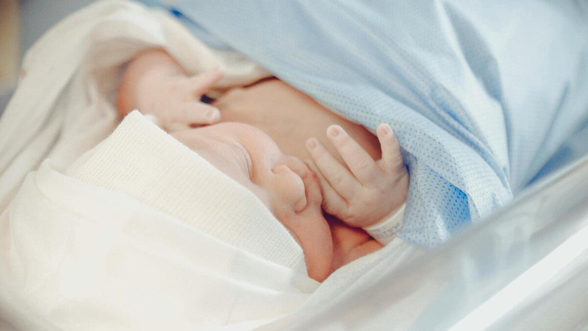    Фото: pexels.com