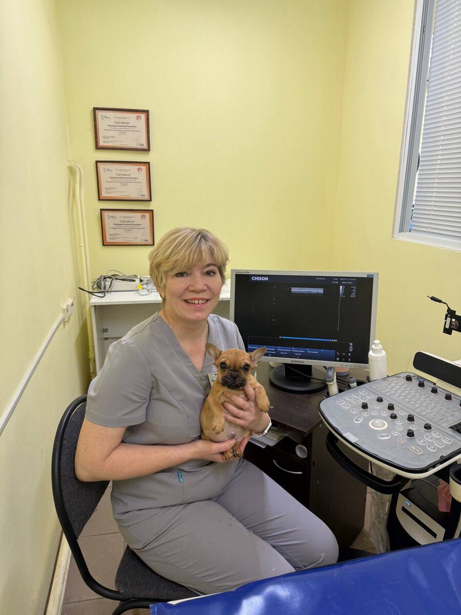 Ветеринарный врач Шмидт Любовь Владимировна