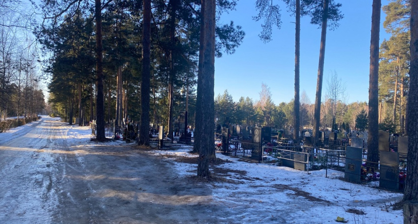    Фото: архив редакции "Pro Город"