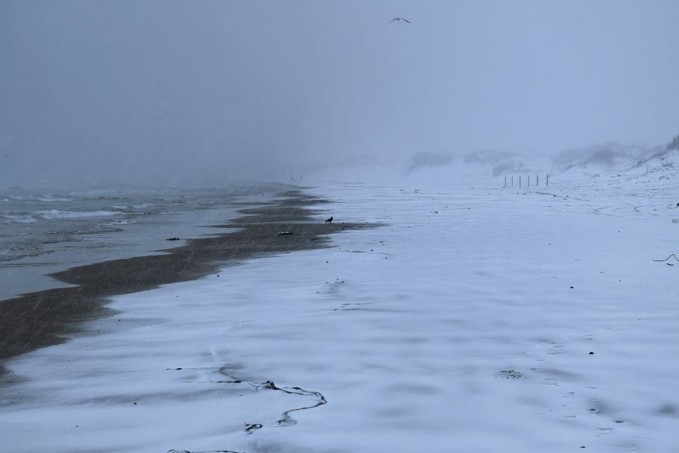    Пляжи Анапы стали белыми. Фото: t.me/maksanapskii