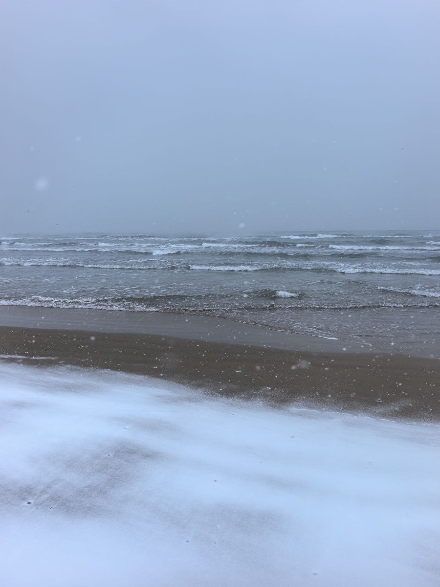    Снег на фоне моря - редкое зрелище. Фото: t.me/maksanapskii