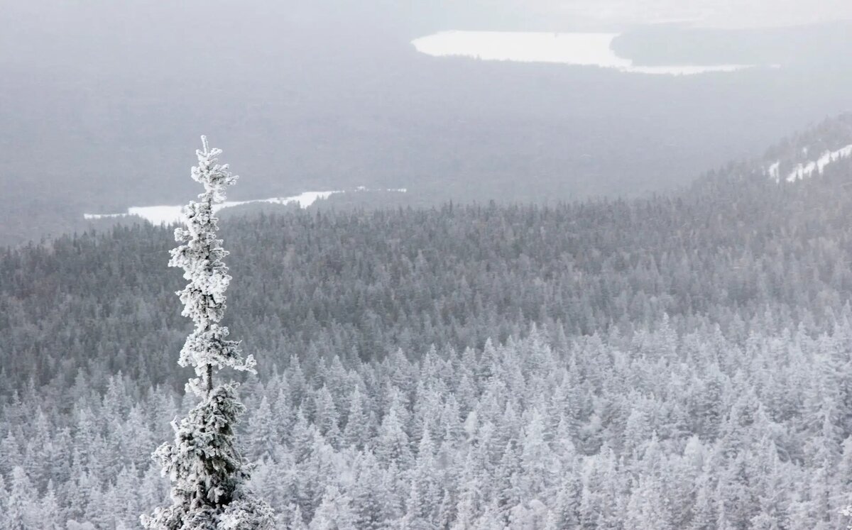     © РИА Новости. Александр Алпаткин