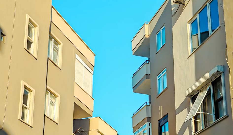     David Kuvaev/Unsplash