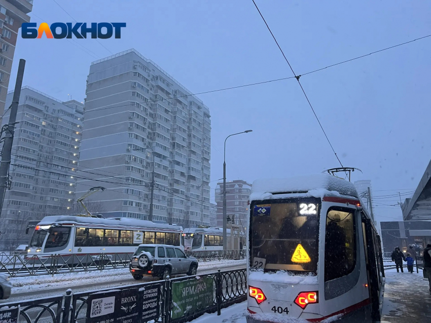 Фото: «Блокнот Краснодар"