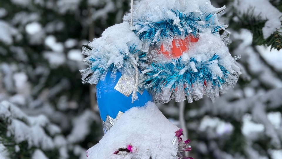 "У вас нет гражданства РФ". Ничего себе новость!