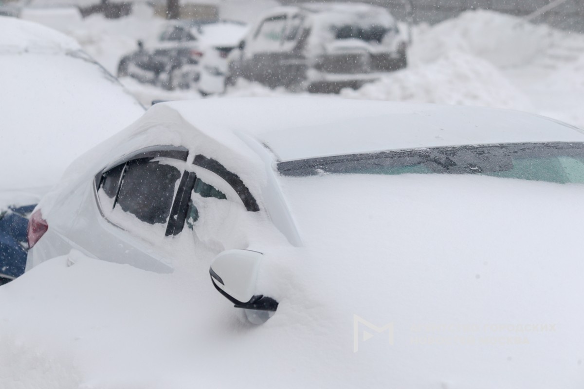 Фотограф: Василий Кузьмичёнок